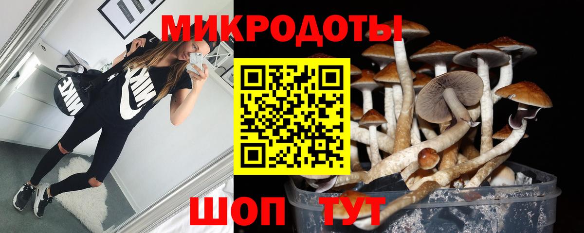 Галлюциногенные грибы Psilocybine cubensis Унеча
